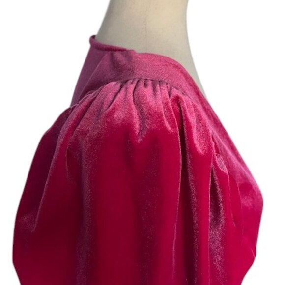 Double Crazy Dress Pink Magenta Puff Long Sleeve Sequin Fringe V Neck Large NWOT - Picture 8 of 14